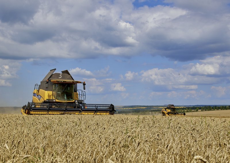 Rusija afričkim zemljama besplatno poslala 200.000 tona žita