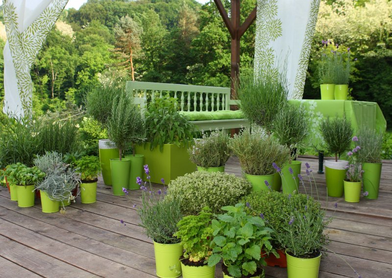 Pravilink natječaja 'Fotkajte svoj vrt ili terasu i osvojite super nagrade'